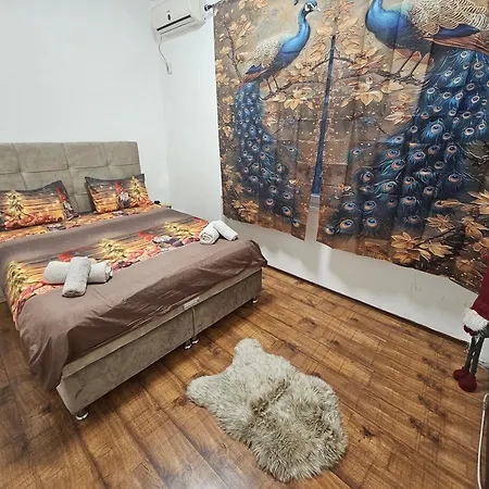 Kalina 베오그라드